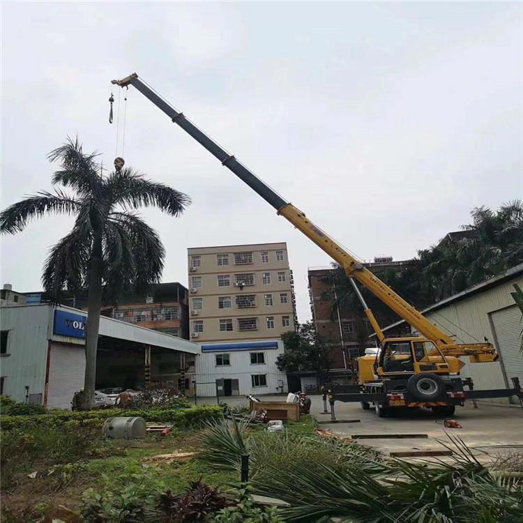 西乡塘树木移栽装卸